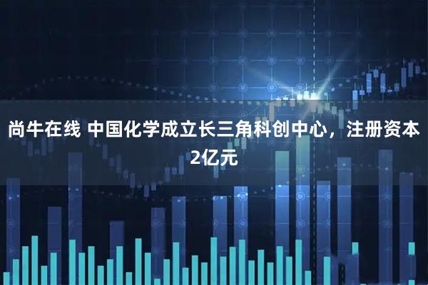尚牛在线 中国化学成立长三角科创中心，注册资本2亿元