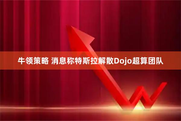牛领策略 消息称特斯拉解散Dojo超算团队