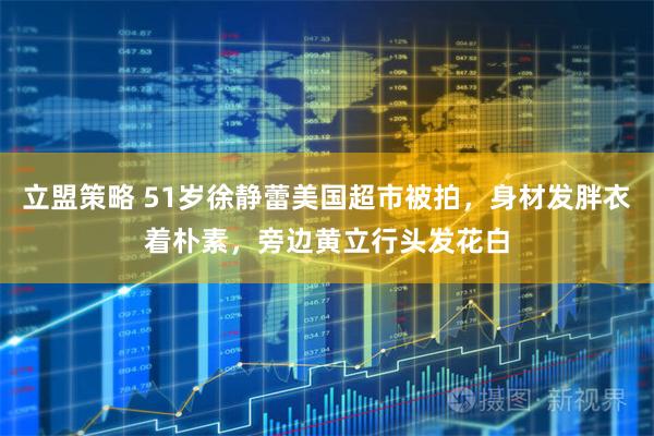 立盟策略 51岁徐静蕾美国超市被拍，身材发胖衣着朴素，旁边黄立行头发花白